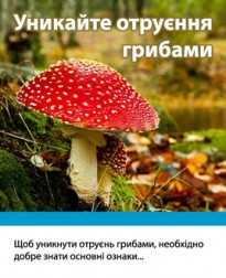 Обережно - гриби!